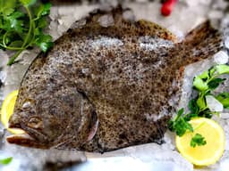 Filetto di rombo, pomodorini, olive, capperi, acciughe 